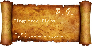 Pingiczer Ilona névjegykártya